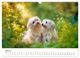 Thumbnail-12