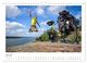 Thumbnail-12