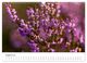 Thumbnail-10