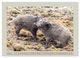 Thumbnail-10
