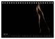 Thumbnail-12