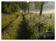 Thumbnail-11