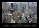 Thumbnail-10