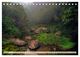 Thumbnail-11