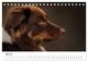 Thumbnail-10