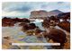 Thumbnail-14