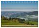 Thumbnail-12
