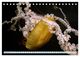 Thumbnail-14