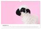 Thumbnail-14