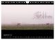 Thumbnail-14