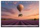 Thumbnail-9