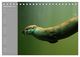 Thumbnail-11