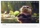 Thumbnail-11