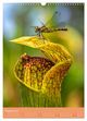 Thumbnail-13