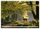 Thumbnail-11