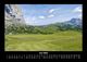 Thumbnail-10