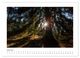 Thumbnail-8