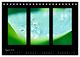 Thumbnail-10
