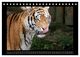 Thumbnail-14