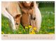 Thumbnail-10