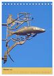 Thumbnail-11