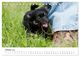 Thumbnail-12