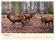 Thumbnail-14