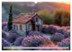 Thumbnail-11