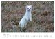 Thumbnail-9