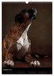 Thumbnail-13