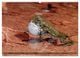 Thumbnail-12