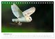 Thumbnail-11