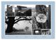 Thumbnail-14