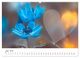 Thumbnail-11