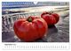 Thumbnail-14