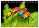 Thumbnail-12
