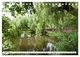 Thumbnail-11
