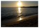 Thumbnail-14
