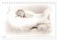 Thumbnail-12