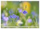 Thumbnail-12