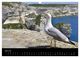 Thumbnail-8