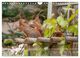 Thumbnail-10