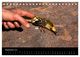 Thumbnail-11