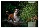 Thumbnail-10