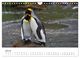 Thumbnail-12