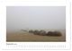 Thumbnail-14