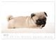 Thumbnail-8