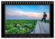 Thumbnail-8