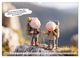 Thumbnail-11