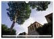 Thumbnail-14